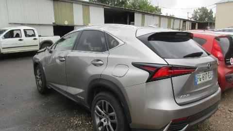 Lexus NX (155KM) - 90 826  PLN, 2019 - Espalion - wyprzedaż | Autoria.pl