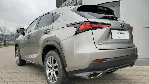 Lexus NX (238KM) -  159 000  PLN, 2018 - Szczecin - wyprzedaż | Autoria.pl