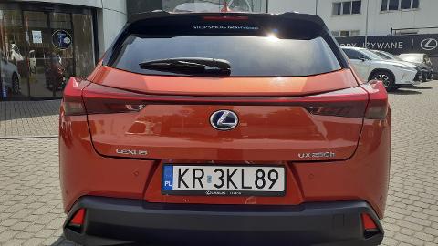 Lexus UX (152KM) -  159 900  PLN, 2019 - Kraków - wyprzedaż | Autoria.pl