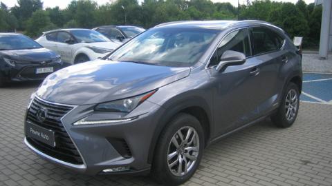 Lexus NX (197KM) -  155 800  PLN, 2019 - Rybnik - wyprzedaż | Autoria.pl