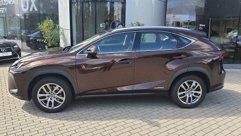 Lexus NX (197KM) -  157 000  PLN, 2018 - Szczecin - wyprzedaż | Autoria.pl