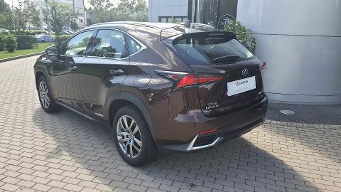 Lexus NX (197KM) -  157 000  PLN, 2018 - Szczecin - wyprzedaż | Autoria.pl