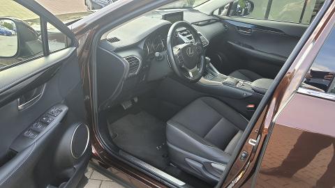 Lexus NX (197KM) -  157 000  PLN, 2018 - Szczecin - wyprzedaż | Autoria.pl