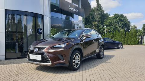 Lexus NX (197KM) -  157 000  PLN, 2018 - Szczecin - wyprzedaż | Autoria.pl