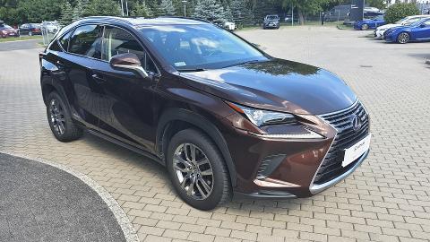 Lexus NX (197KM) -  157 000  PLN, 2018 - Szczecin - wyprzedaż | Autoria.pl