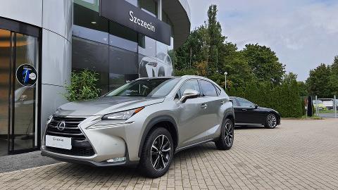 Lexus NX (238KM) - 99 900  PLN, 2016 - Szczecin - wyprzedaż | Autoria.pl