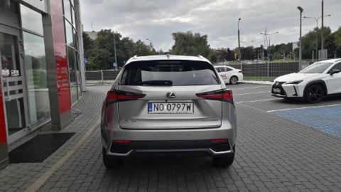 Lexus NX (155KM) -  199 900  PLN, 2020 - Olsztyn - wyprzedaż | Autoria.pl