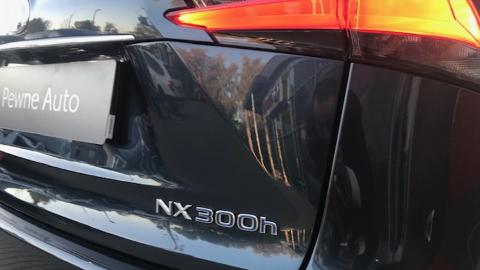 Lexus NX (197KM) - 99 600  PLN, 2014 - Kazimierzowo - wyprzedaż | Autoria.pl