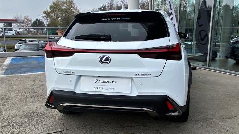 Lexus UX (184KM) -  161 500  PLN, 2019 - łódź - wyprzedaż | Autoria.pl