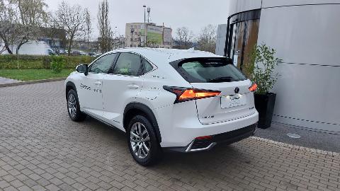 Lexus NX (155KM) -  189 500  PLN, 2020 - Szczecin - wyprzedaż | Autoria.pl