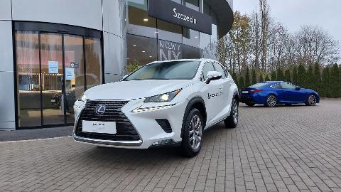 Lexus NX (155KM) -  189 500  PLN, 2020 - Szczecin - wyprzedaż | Autoria.pl