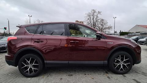 Toyota RAV4 IV  (155KM) -  104 700  PLN, 2016 - Włocławek - wyprzedaż | Autoria.pl