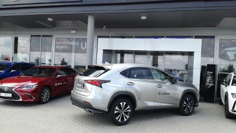 Lexus NX (238KM) -  189 900  PLN, 2020 - Leszno - wyprzedaż | Autoria.pl