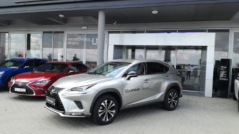 Lexus NX (238KM) -  189 900  PLN, 2020 - Leszno - wyprzedaż | Autoria.pl