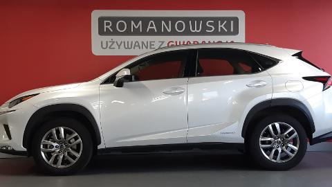 Lexus NX (197KM) - 1 678  PLN, 2019 - Kraków - wyprzedaż | Autoria.pl