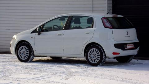 Fiat Punto Evo (65KM) - 15 700  PLN, 2010 - MIKOŁÓW - wyprzedaż | Autoria.pl