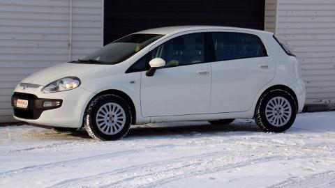 Fiat Punto Evo (65KM) - 15 700  PLN, 2010 - MIKOŁÓW - wyprzedaż | Autoria.pl