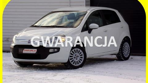 Fiat Punto Evo (65KM) - 15 700  PLN, 2010 - MIKOŁÓW - wyprzedaż | Autoria.pl