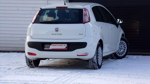 Fiat Punto Evo (65KM) - 15 700  PLN, 2010 - MIKOŁÓW - wyprzedaż | Autoria.pl