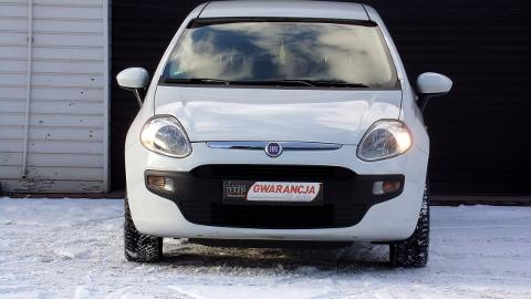 Fiat Punto Evo (65KM) - 15 700  PLN, 2010 - MIKOŁÓW - wyprzedaż | Autoria.pl