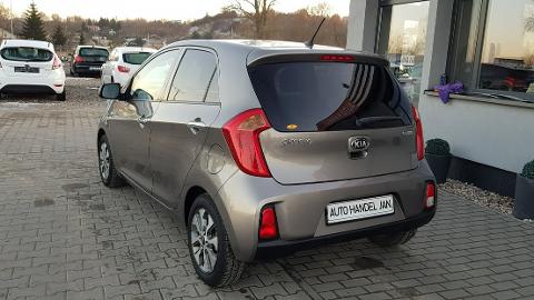 Kia Picanto II  (65KM) - 23 800  PLN, 2015 - Chełmno - wyprzedaż | Autoria.pl