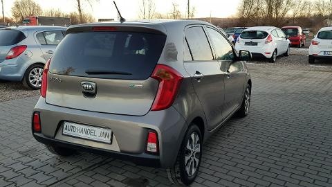 Kia Picanto II  (65KM) - 23 800  PLN, 2015 - Chełmno - wyprzedaż | Autoria.pl