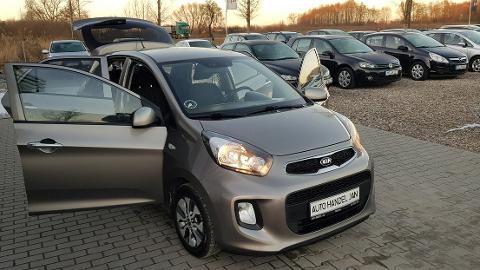 Kia Picanto II  (65KM) - 23 800  PLN, 2015 - Chełmno - wyprzedaż | Autoria.pl