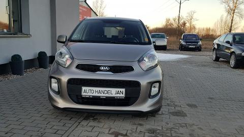 Kia Picanto II  (65KM) - 23 800  PLN, 2015 - Chełmno - wyprzedaż | Autoria.pl