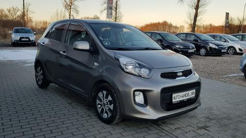 Kia Picanto II  (65KM) - 23 800  PLN, 2015 - Chełmno - wyprzedaż | Autoria.pl