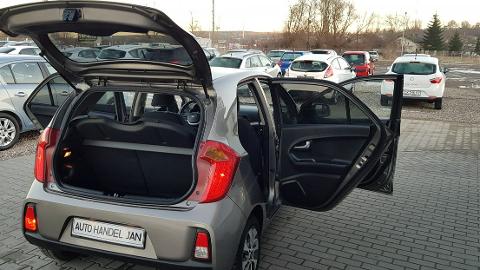 Kia Picanto II  (65KM) - 23 800  PLN, 2015 - Chełmno - wyprzedaż | Autoria.pl