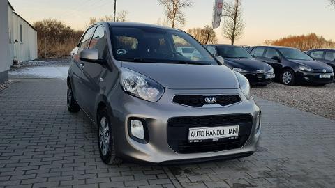 Kia Picanto II  (65KM) - 23 800  PLN, 2015 - Chełmno - wyprzedaż | Autoria.pl