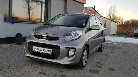 Kia Picanto II  (65KM) - 23 800  PLN, 2015 - Chełmno - wyprzedaż | Autoria.pl