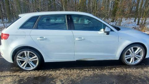 Audi A3 8V  (116KM) - 65 800  PLN, 2019 - PLESZEW - wyprzedaż | Autoria.pl