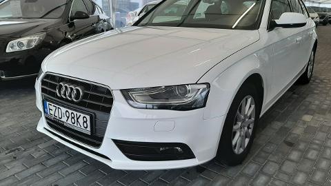 Audi A4 B8  (150KM) - 49 700  PLN, 2015 - Zduńska Wola - wyprzedaż | Autoria.pl