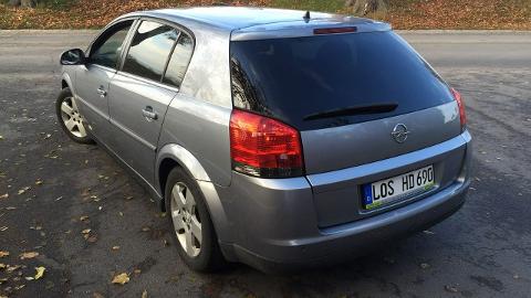 Opel Signum (125KM) - 8 999  PLN, 2005 - Gostyń - wyprzedaż | Autoria.pl