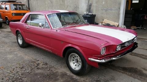 Ford Mustang I  (203KM) - 59 900  PLN, 1966 - Koszalin - wyprzedaż | Autoria.pl
