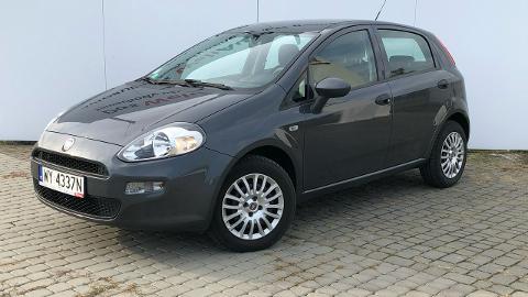Fiat Punto Evo (77KM) - 31 900  PLN, 2017 - Stalowa Wola - wyprzedaż | Autoria.pl