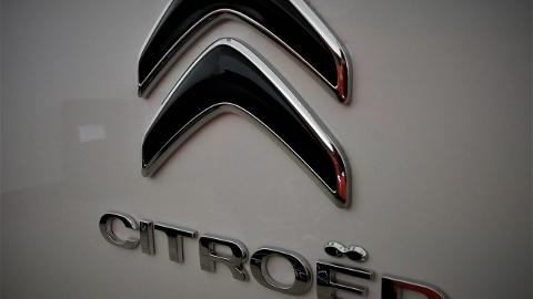 Citroën Berlingo (100KM) - 62 900  PLN, 2020 - Stalowa Wola - wyprzedaż | Autoria.pl