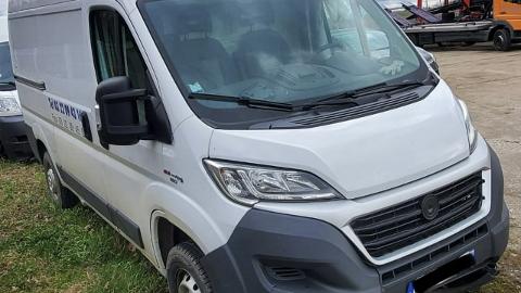 Fiat Ducato (131KM) - 39 900  PLN, 2017 - PLESZEW - wyprzedaż | Autoria.pl