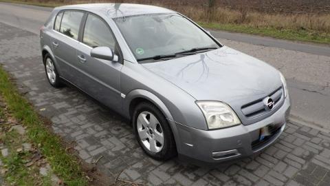 Opel Signum (147KM) - 6 900  PLN, 2003 - Kutno - wyprzedaż | Autoria.pl