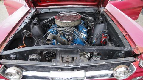 Ford Mustang I  (203KM) - 59 900  PLN, 1966 - Koszalin - wyprzedaż | Autoria.pl