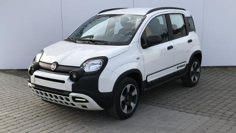Fiat Panda III  (70KM) - 49 900  PLN, 2020 - Stalowa Wola - wyprzedaż | Autoria.pl