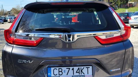 Honda CR-V IV  (184KM) -  133 000  PLN, 2020 - Bydgoszcz - wyprzedaż | Autoria.pl