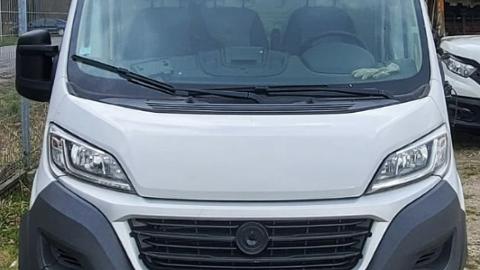 Fiat Ducato (131KM) - 39 900  PLN, 2017 - PLESZEW - wyprzedaż | Autoria.pl