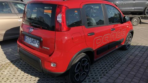 Fiat Panda III  (69KM) - 58 990  PLN, 2022 - Stalowa Wola - wyprzedaż | Autoria.pl