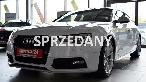 Audi A5 F5  (177KM) - 89 900  PLN, 2016 - Długołęka - wyprzedaż | Autoria.pl