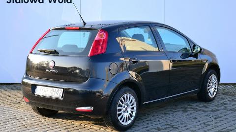 Fiat Punto Evo (69KM) - 23 990  PLN, 2014 - Stalowa Wola - wyprzedaż | Autoria.pl