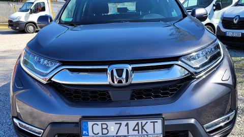 Honda CR-V IV  (184KM) -  133 000  PLN, 2020 - Bydgoszcz - wyprzedaż | Autoria.pl