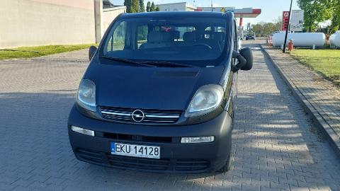 Opel Vivaro I  (100KM) - 24 900  PLN, 2005 - Kutno - wyprzedaż | Autoria.pl