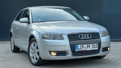 Audi A3 8P  (102KM) - 18 900  PLN, 2003 - Olsztyn - wyprzedaż | Autoria.pl